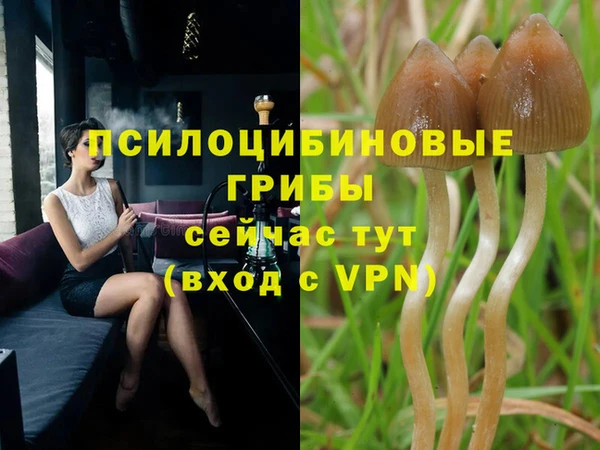 герыч Алексин